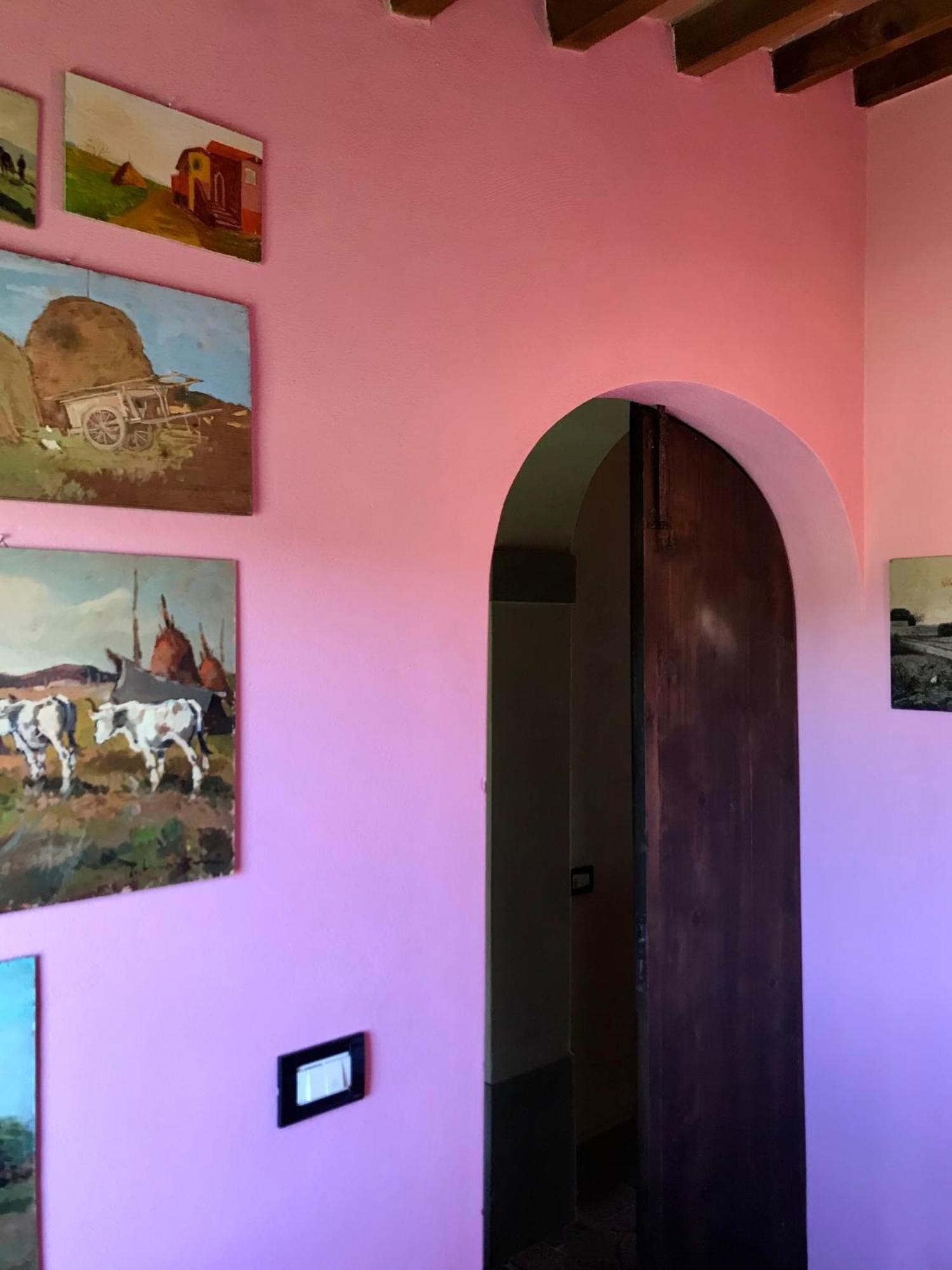 Agriturismo La Palazzina Palaia Quarto foto