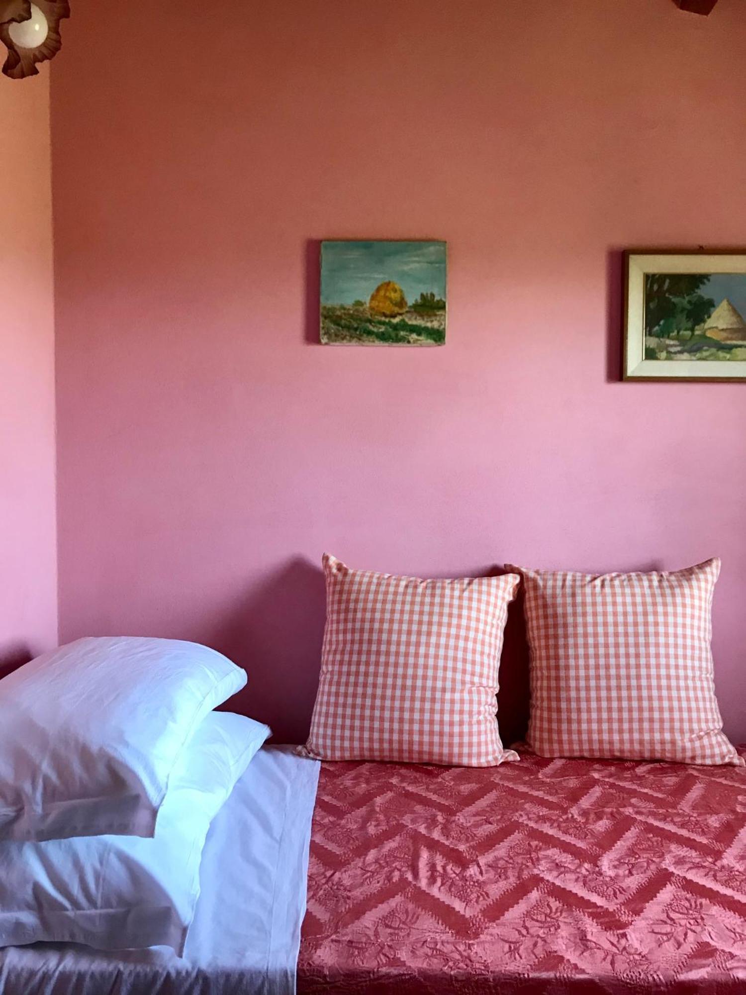 Agriturismo La Palazzina Palaia Quarto foto